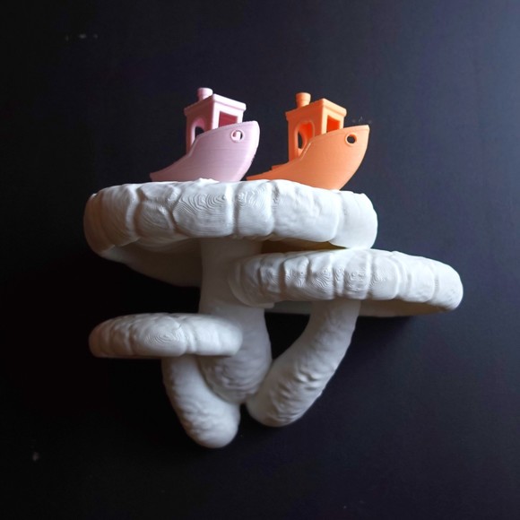 Gazzaladra Wall Shelf Edodes Fungus for Party, Living Room, Bedroom - Picture 3 of 5